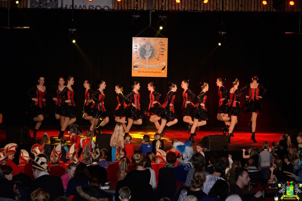 ../Images/Dansmarieke festival 2018 175.jpg
